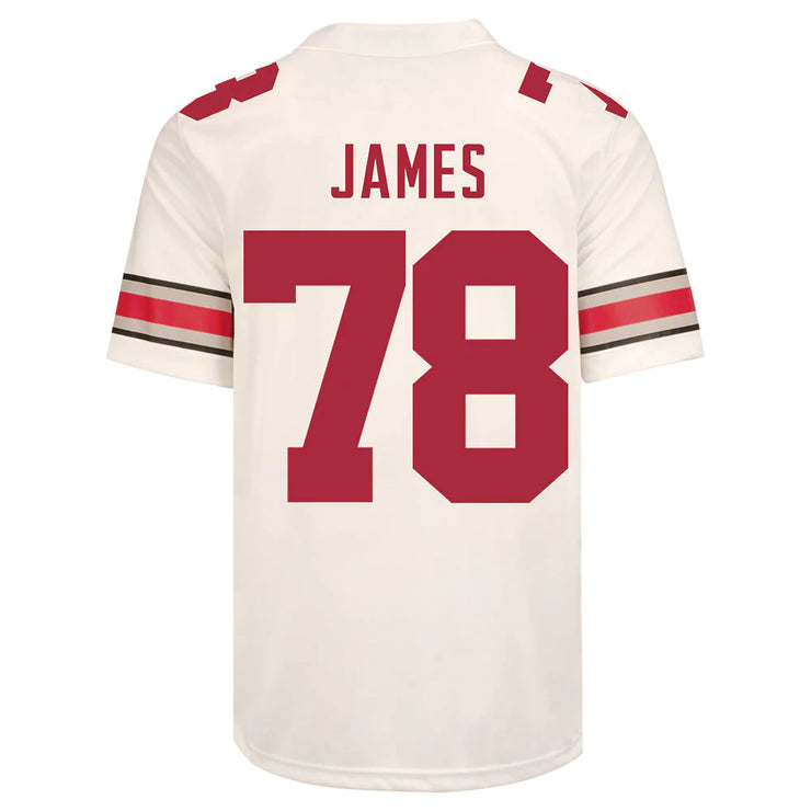 Ohio State Buckeyes Nike 
