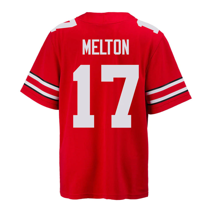 Ohio State Buckeyes Nike 