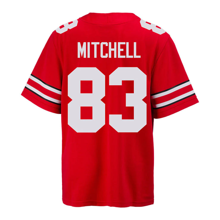 Ohio State Buckeyes Nike 