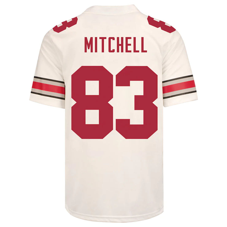 Ohio State Buckeyes Nike 