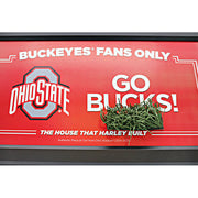 Ohio State Buckeyes Fans Only Framed Sign with a Piece of Authentic Ohio Stadium Turf