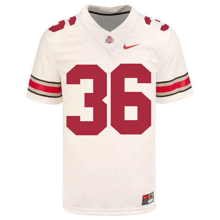 Ohio State Buckeyes Nike 