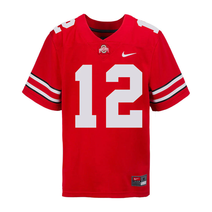 Ohio State Buckeyes Nike 