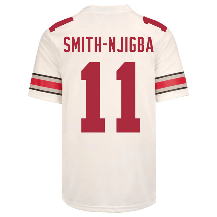Ohio State Buckeyes Nike 
