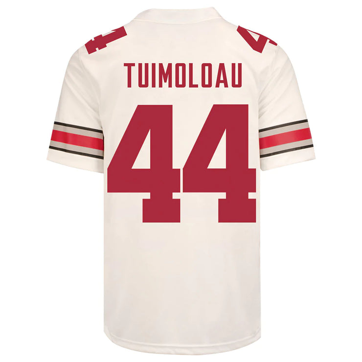 Ohio State Buckeyes Nike 