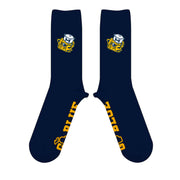 UofM - GO BLUE WOLVERBEAR SOCKS