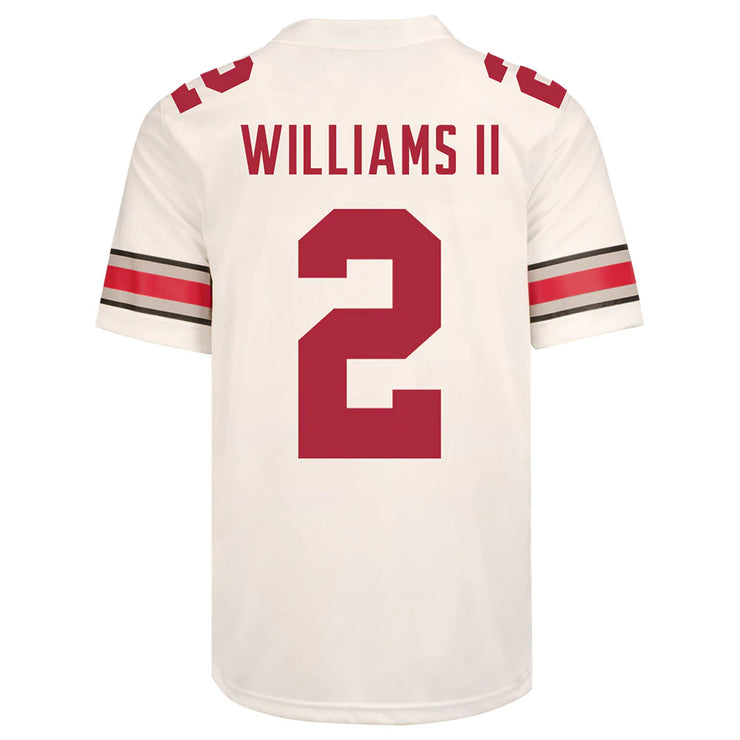 Ohio State Buckeyes Nike 